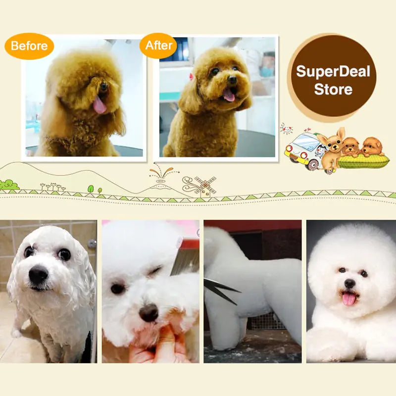 Dog Hair Clippers Trimmer Set