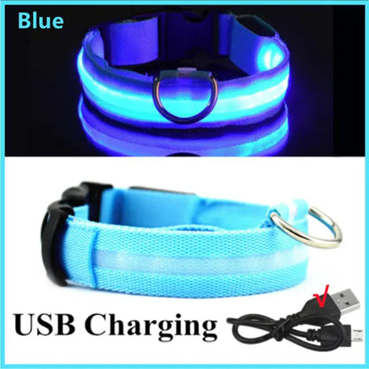 LED Glowing Adjustable Dog Collar