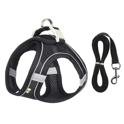 Harness Leash Set for Small Dogs