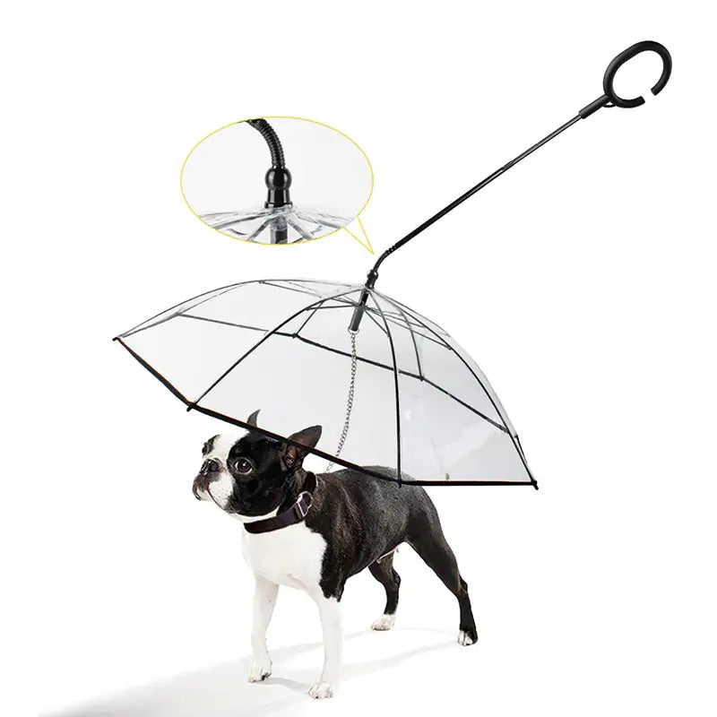 Pet Transparent Umbrella Leash