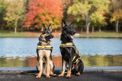 Army Dog Vest