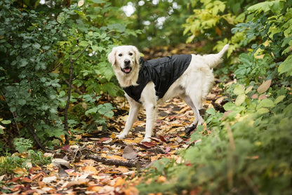 Black Packable Dog Raincoat