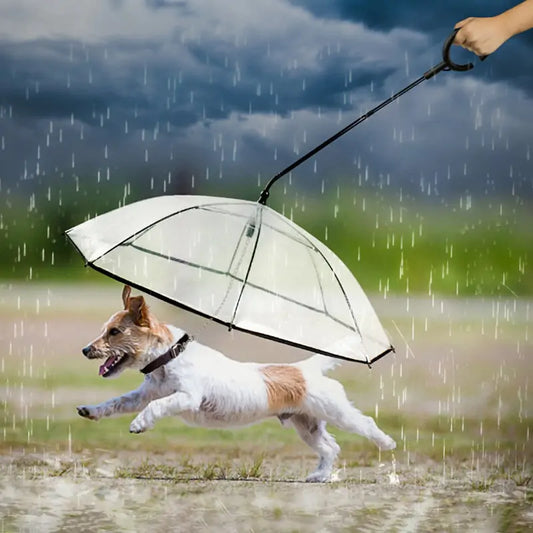 Pet Transparent Umbrella Leash