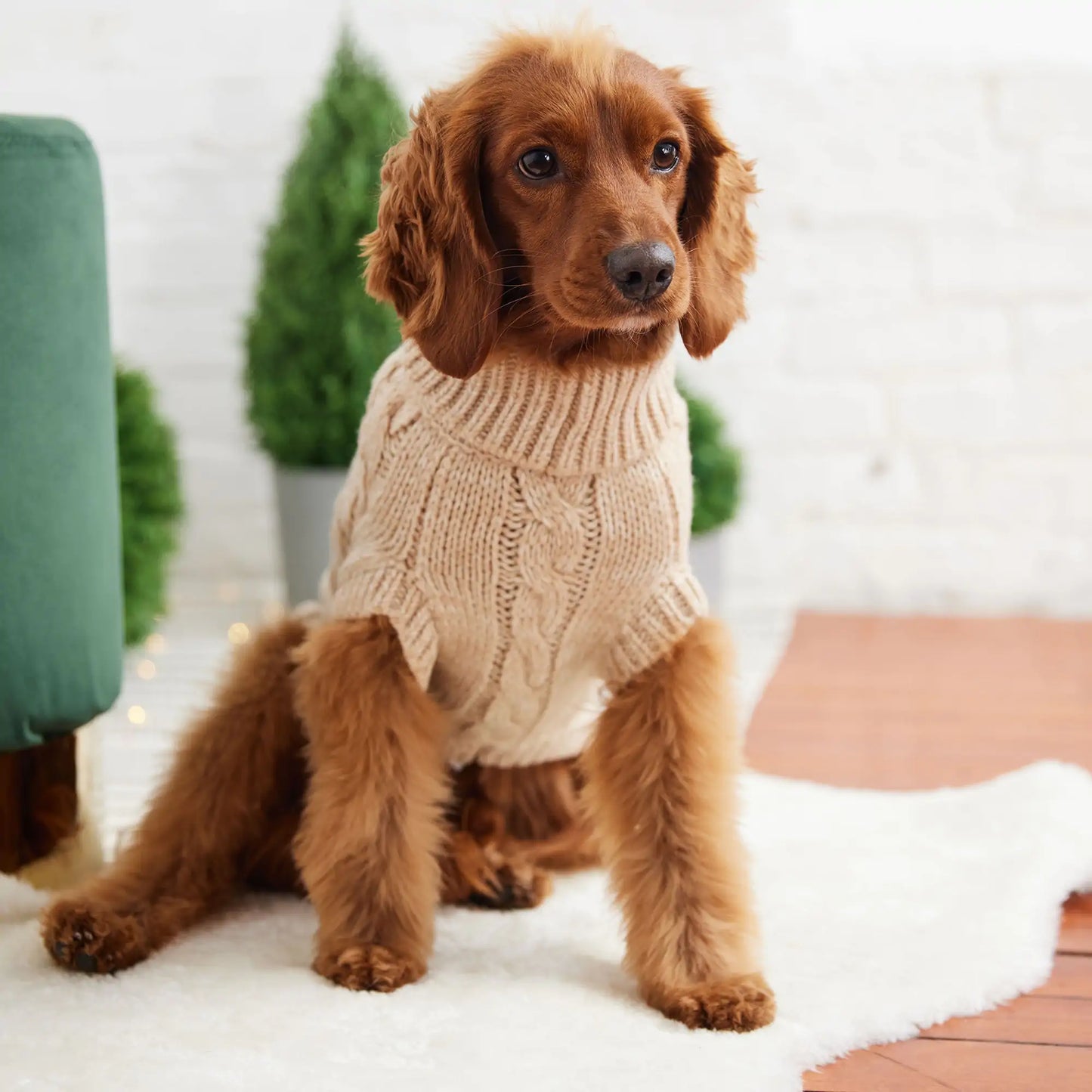 Chalet Dog Sweater